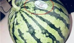 网红吃瓜微信头像,揭秘网络红人的日常生活