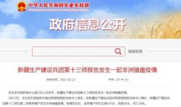 新疆新闻投稿爆料平台,聚焦民生，传递民意